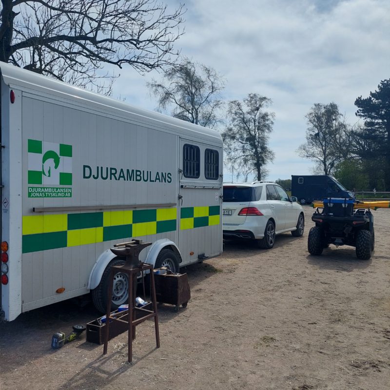 Djurambulans vid tävling Djurambulans vid tävling